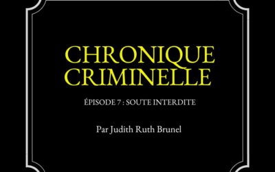 Chronique criminelle : Épisode N°7 — Soute interdite