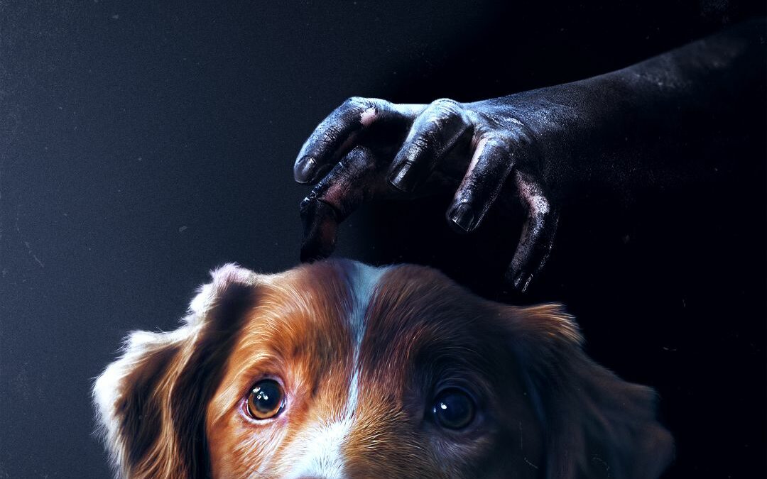 Good Boy (2025) — Critique du film d’horreur canin