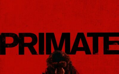 Primate : critique d’un film d’horreur où le foyer devient territoire